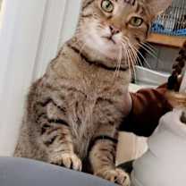 Thumbnail photo of Destiny #1