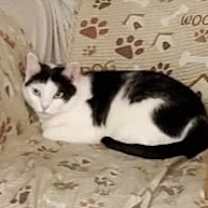 Thumbnail photo of Misty #4