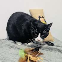 Thumbnail photo of Joe Friday #2