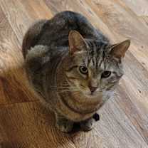 Thumbnail photo of Reece #1