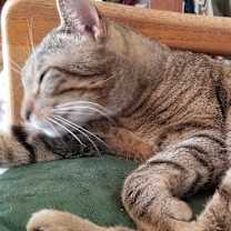 Thumbnail photo of Reece #4