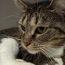 Thumbnail photo of Pretty Girl #1