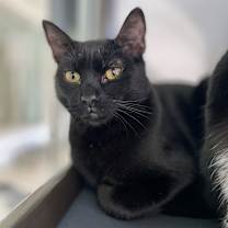 Thumbnail photo of Bubbles #3