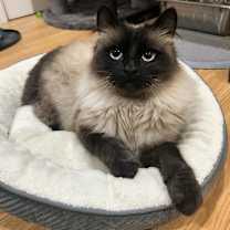 Thumbnail photo of Tuna #3