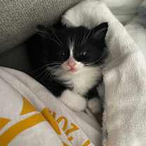 Thumbnail photo of Carbonara  #2