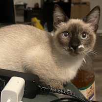 Thumbnail photo of Thumbelina #4