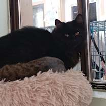 Thumbnail photo of Bill #2