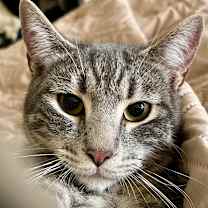 Thumbnail photo of Pepe #1