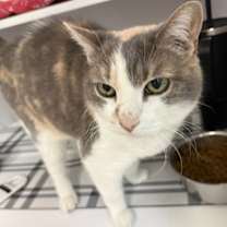 Thumbnail photo of Kiara #4