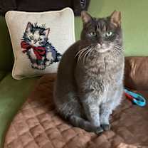 Thumbnail photo of Fannie #2