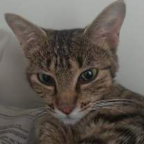 Thumbnail photo of Abigail #2