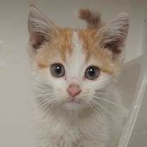 Thumbnail photo of Loretta #2