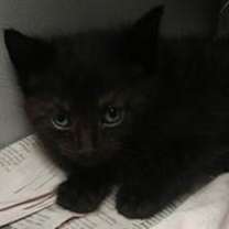 Thumbnail photo of Zella #2