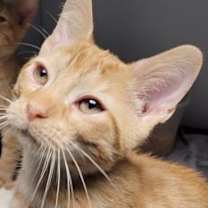 Thumbnail photo of Jack #2