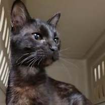 Thumbnail photo of Skyler #2