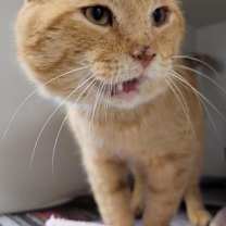 Thumbnail photo of Marvin #2