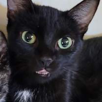 Thumbnail photo of Tia #2