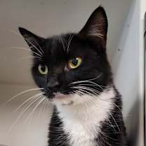 Thumbnail photo of Madison #2