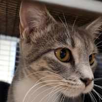 Thumbnail photo of Boots #2