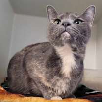 Thumbnail photo of Olivia #2