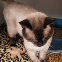 Thumbnail photo of Watson #2