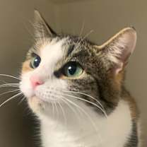 Thumbnail photo of Daisey #2