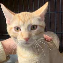 Thumbnail photo of Mike #2