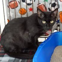 Thumbnail photo of Marie #2