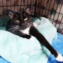 Thumbnail photo of Twinkle Toes #2