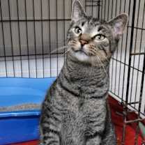 Thumbnail photo of Buddy #3