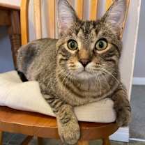 Thumbnail photo of Reginald #2
