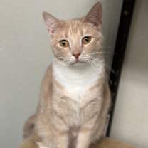 Thumbnail photo of Bonnie 2 #2