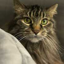 Thumbnail photo of Salty #3