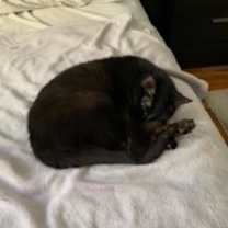 Thumbnail photo of Sarah #2