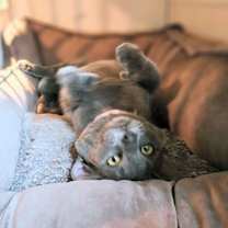 Thumbnail photo of Marbles #2