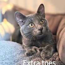 Thumbnail photo of Marbles #3
