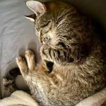 Thumbnail photo of Evelyn #2