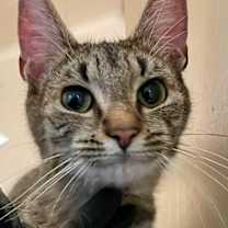 Thumbnail photo of Evelyn #3
