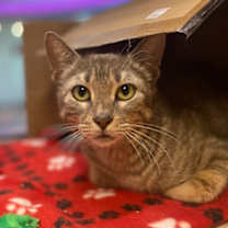 Thumbnail photo of Molly #2