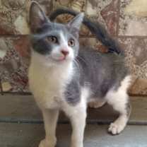 Thumbnail photo of Molly #3