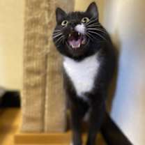 Thumbnail photo of Ella #2