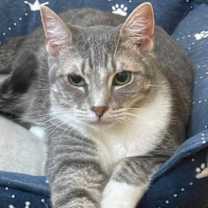 Thumbnail photo of Juri #2