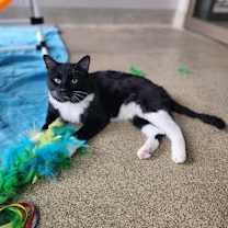 Thumbnail photo of Honeysauce #2