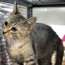 Thumbnail photo of Caden #2