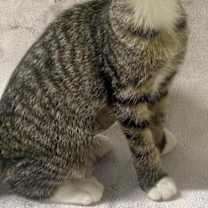 Thumbnail photo of Arissa #2