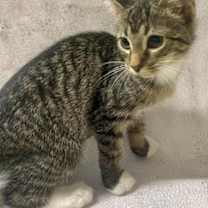 Thumbnail photo of Arissa #3