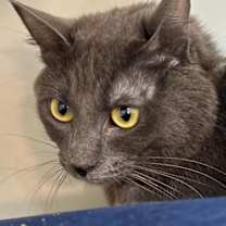 Thumbnail photo of STORMY #2