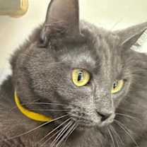 Thumbnail photo of STORMY #3