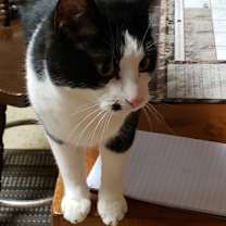 Thumbnail photo of Miles Mac kb bond w Lil Momma #2