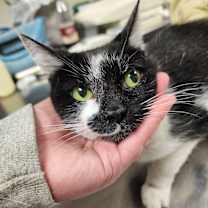 Thumbnail photo of Smudge #2